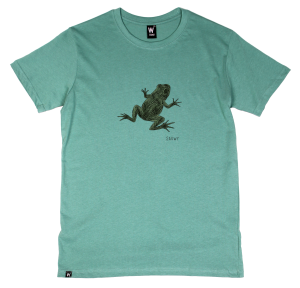Bañadores y Camisetas Sauwy