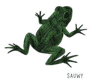 Bañadores y Camisetas Sauwy